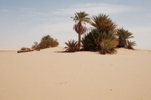 Ain Dalla, una fuente muy codiciada en medio del desierto