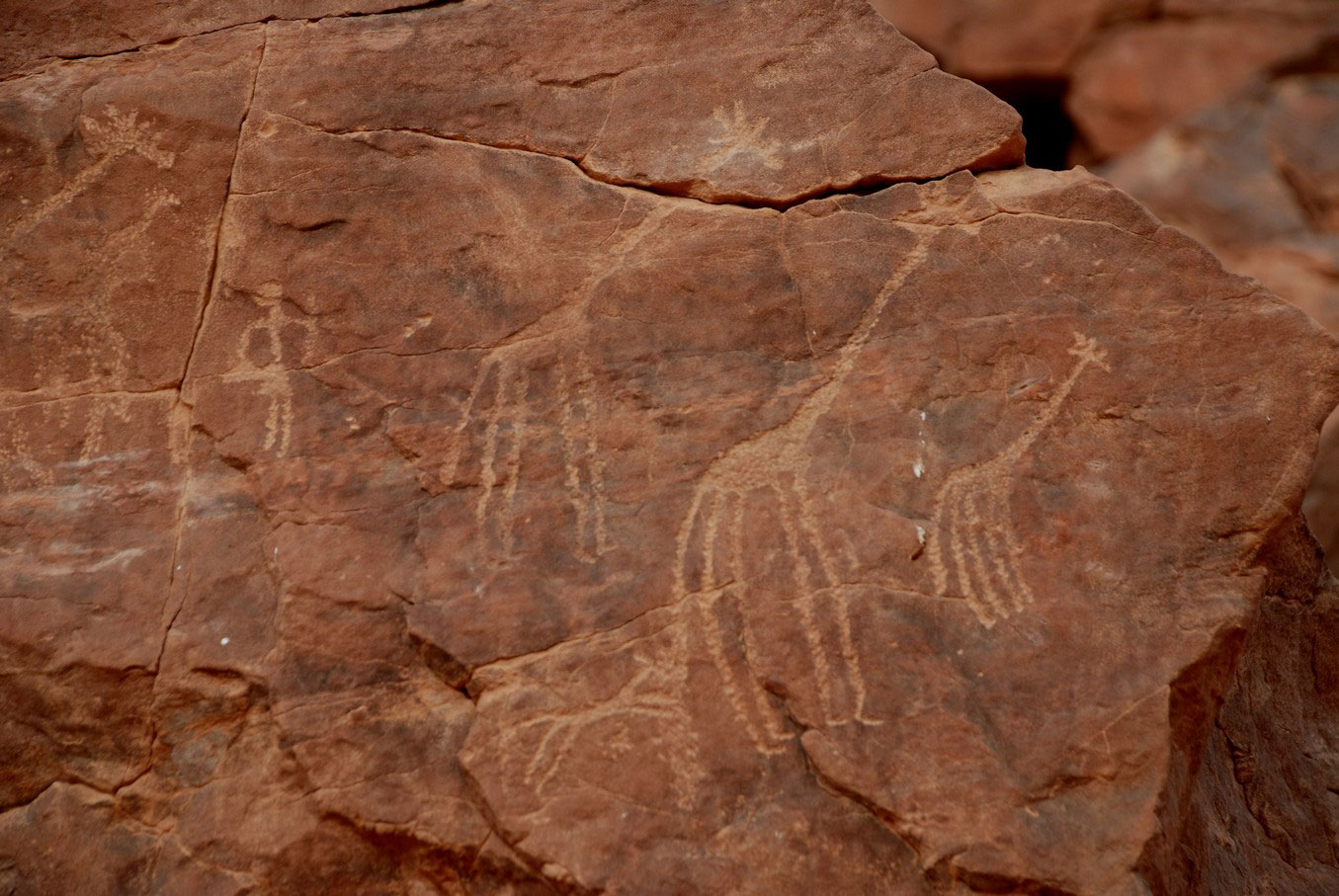 Caza de jirafas en un grabado del VIII milenio en wadi Hamra