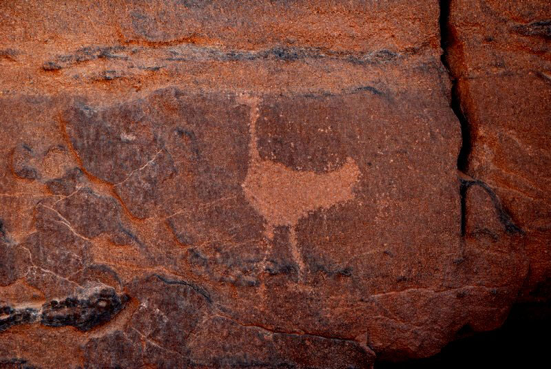 Grabado de un avestruz de hace 7000 años en Kurkur Talh