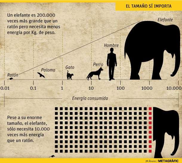 El tamaño sí importa. Gráfico: JM Álvarez / Metagràfic