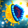 HCV-virus-highres (1)