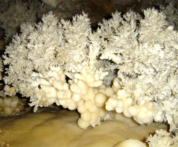 Aragonitos coraloides del Jardí