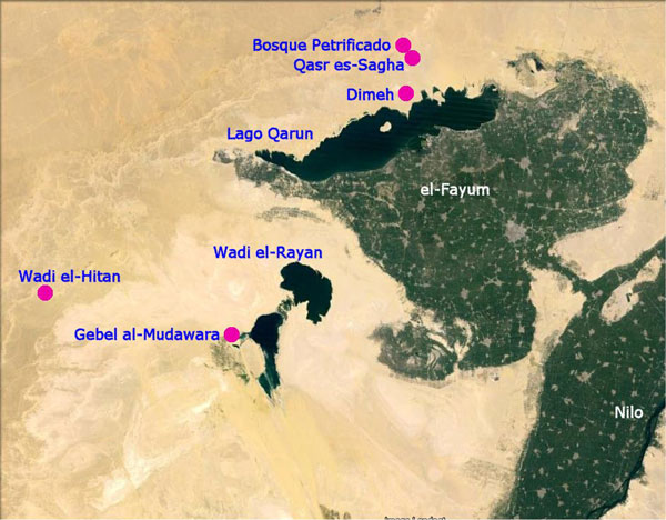 La región del Fayum, al SO de El Cairo.