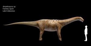 Representación artística de Ampelosaurus sp. comparada con el tamaño humano. Imagen: O. Sanisidro/CSIC