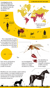 Malaria. Gráfico: JM Álvarez / Metagràfic